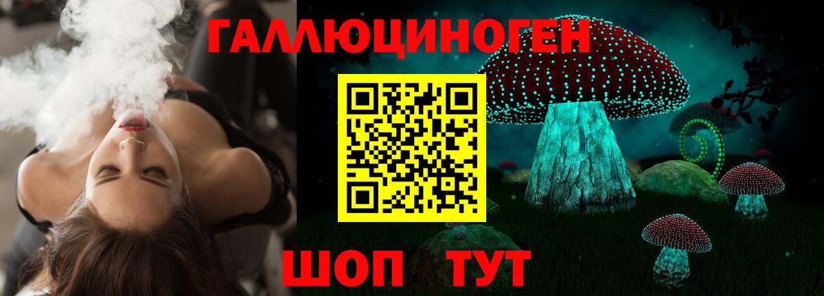 закладка  Вход с VPN  Подольск  Псилоцибиновые грибы Psilocybe 